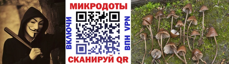 даркнет сайт  Аткарск  Псилоцибиновые грибы прущие грибы 
